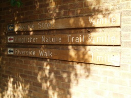 Image on trail